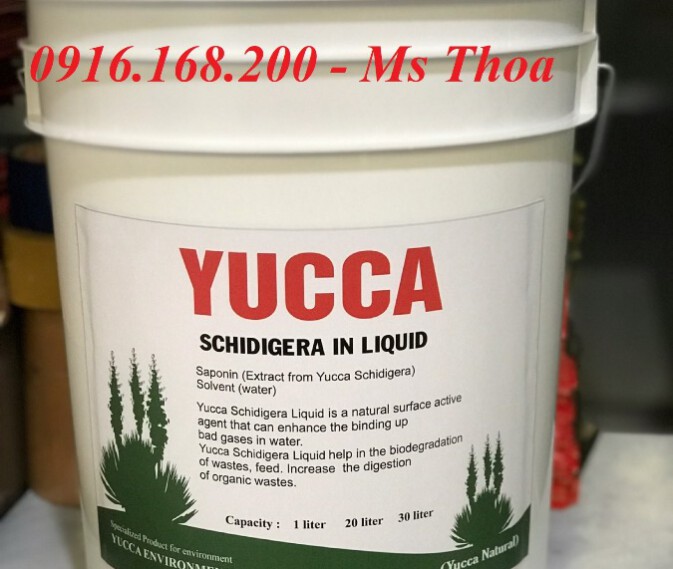 YUCCA SCHIDIGERA IN LIQUID – Yucca nước hấp thu khí độc